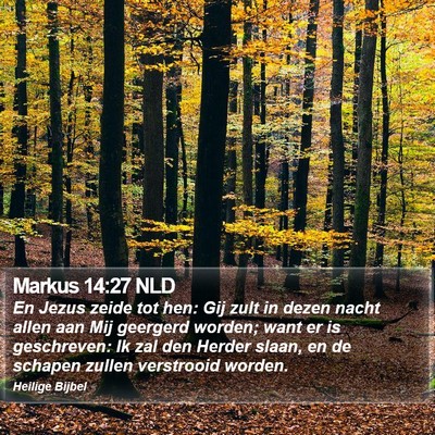 Markus 14:27 NLD Bible Verse Image