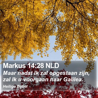 Markus 14:28 NLD Bible Verse Image