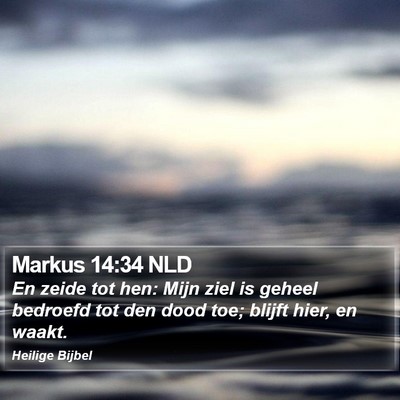 Markus 14:34 NLD Bible Verse Image