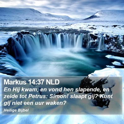 Markus 14:37 NLD Bible Verse Image