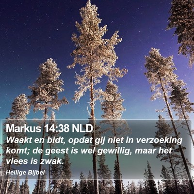 Markus 14:38 NLD Bible Verse Image