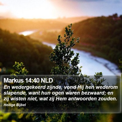 Markus 14:40 NLD Bible Verse Image