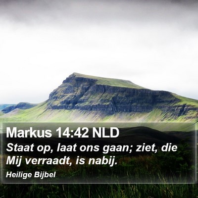 Markus 14:42 NLD Bible Verse Image