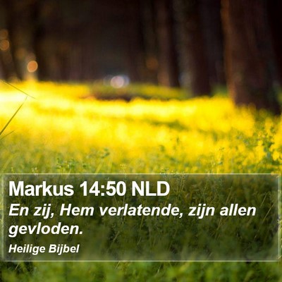 Markus 14:50 NLD Bible Verse Image