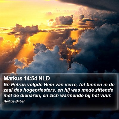 Markus 14:54 NLD Bible Verse Image