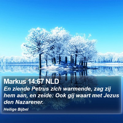Markus 14:67 NLD Bible Verse Image