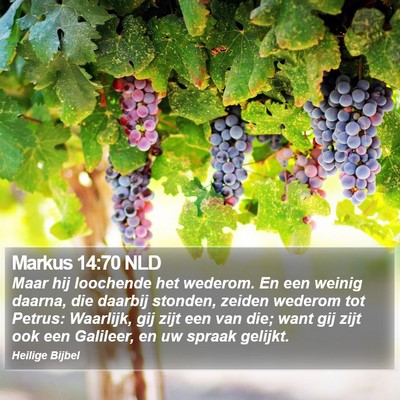 Markus 14:70 NLD Bible Verse Image