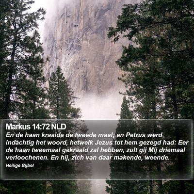 Markus 14:72 NLD Bible Verse Image