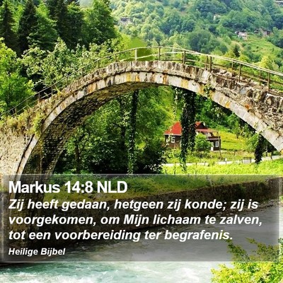 Markus 14:8 NLD Bible Verse Image