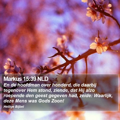 Markus 15:39 NLD Bible Verse Image