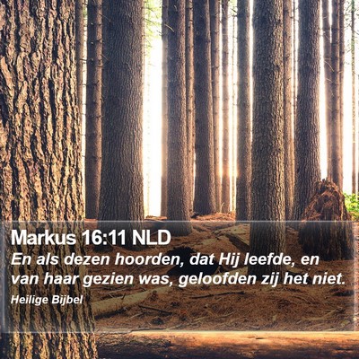 Markus 16:11 NLD Bible Verse Image