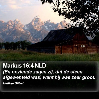 Markus 16:4 NLD Bible Verse Image