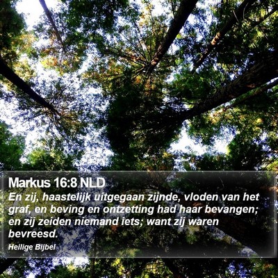 Markus 16:8 NLD Bible Verse Image