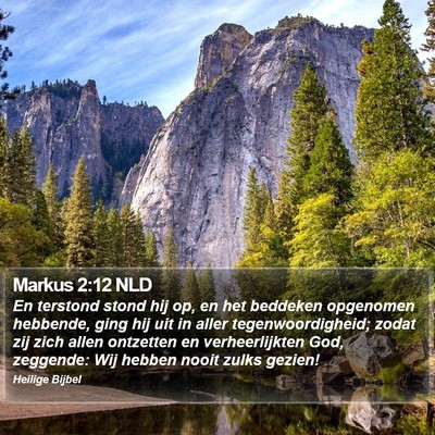Markus 2:12 NLD Bible Verse Image