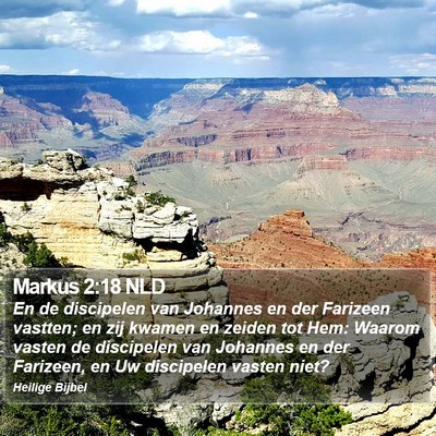 Markus 2:18 NLD Bible Verse Image