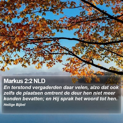 Markus 2:2 NLD Bible Verse Image
