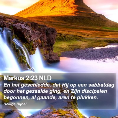 Markus 2:23 NLD Bible Verse Image