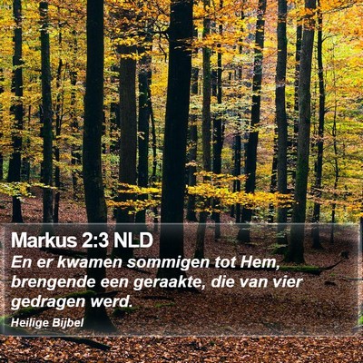 Markus 2:3 NLD Bible Verse Image