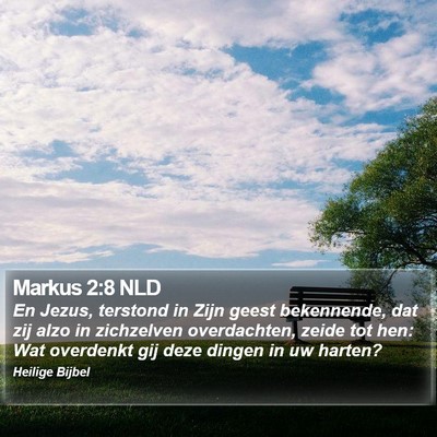 Markus 2:8 NLD Bible Verse Image