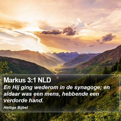 Markus 3:1 NLD Bible Verse Image