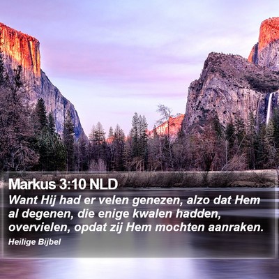 Markus 3:10 NLD Bible Verse Image