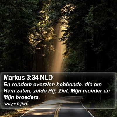 Markus 3:34 NLD Bible Verse Image