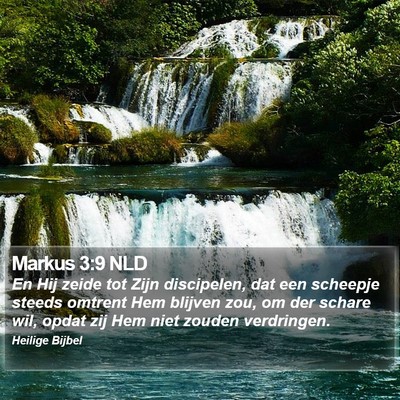 Markus 3:9 NLD Bible Verse Image