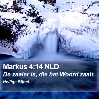 Markus 4:14 NLD Bible Verse Image
