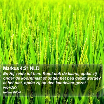 Markus 4:21 NLD Bible Verse Image