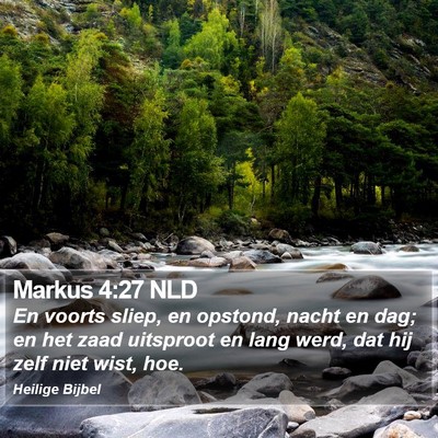 Markus 4:27 NLD Bible Verse Image