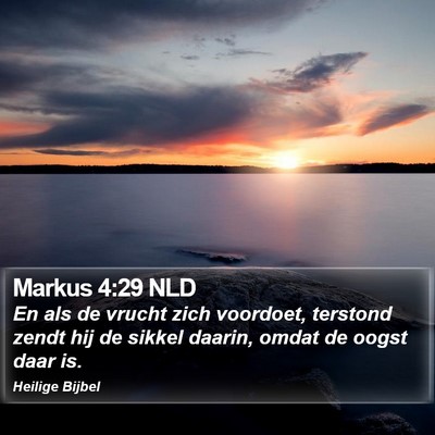 Markus 4:29 NLD Bible Verse Image