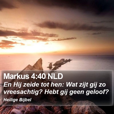 Markus 4:40 NLD Bible Verse Image