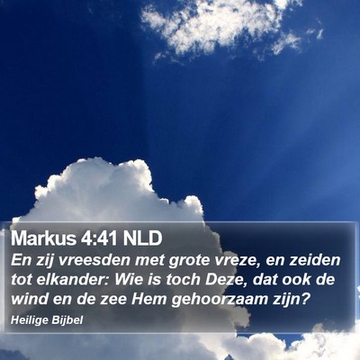 Markus 4:41 NLD Bible Verse Image