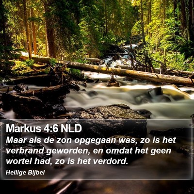 Markus 4:6 NLD Bible Verse Image