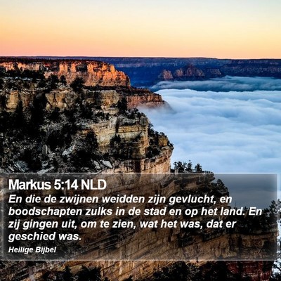 Markus 5:14 NLD Bible Verse Image