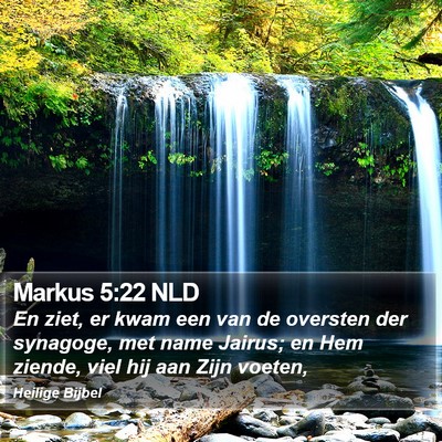 Markus 5:22 NLD Bible Verse Image