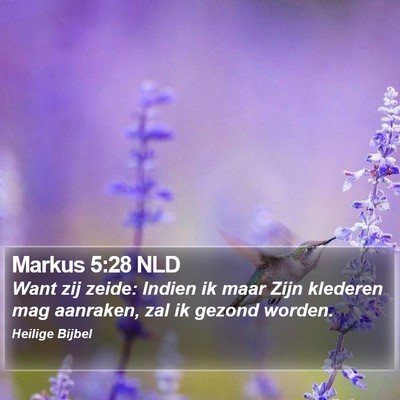 Markus 5:28 NLD Bible Verse Image