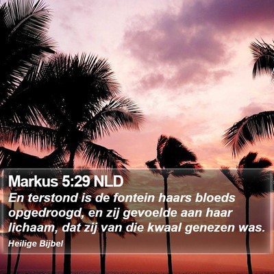 Markus 5:29 NLD Bible Verse Image