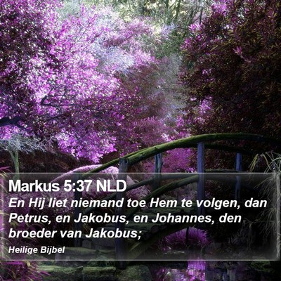 Markus 5:37 NLD Bible Verse Image