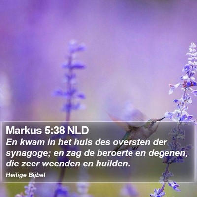 Markus 5:38 NLD Bible Verse Image