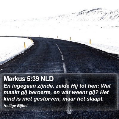 Markus 5:39 NLD Bible Verse Image