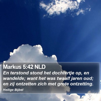 Markus 5:42 NLD Bible Verse Image