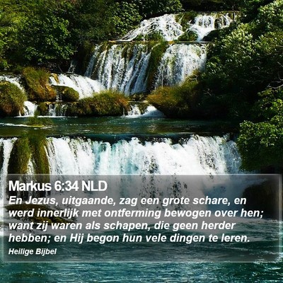 Markus 6:34 NLD Bible Verse Image