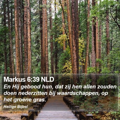 Markus 6:39 NLD Bible Verse Image