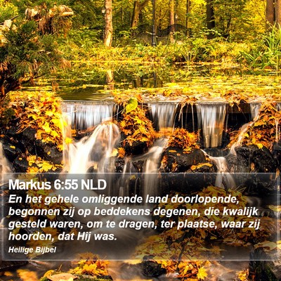 Markus 6:55 NLD Bible Verse Image