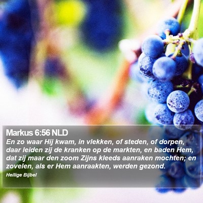 Markus 6:56 NLD Bible Verse Image