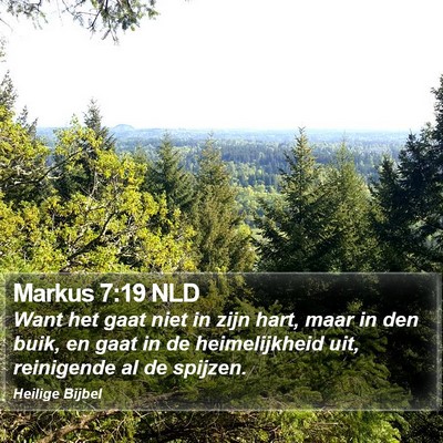 Markus 7:19 NLD Bible Verse Image