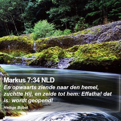Markus 7:34 NLD Bible Verse Image