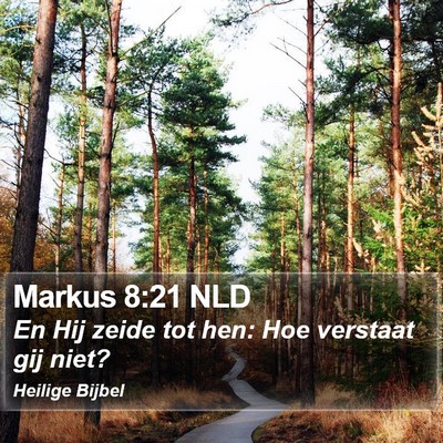 Markus 8:21 NLD Bible Verse Image