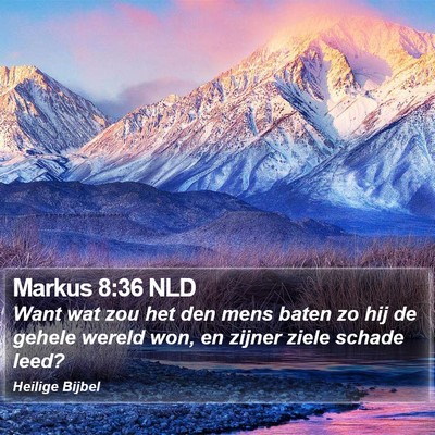 Markus 8:36 NLD Bible Verse Image